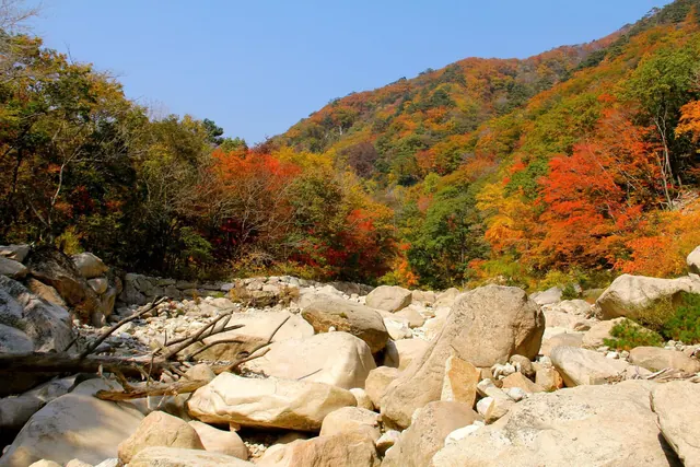 설악산의 가을 단풍
