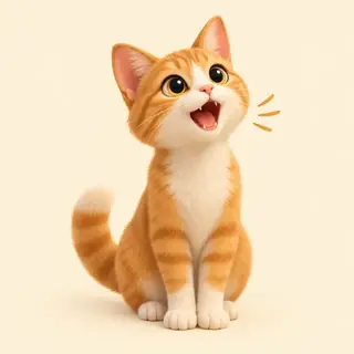miaou (chat)