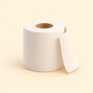 Taschentuch / Toilettenpapier
