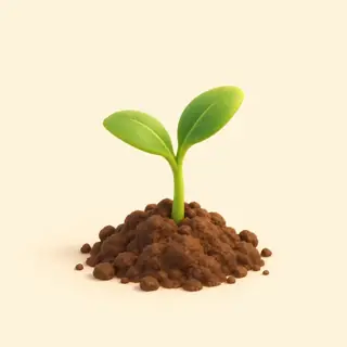 أرض / تراب