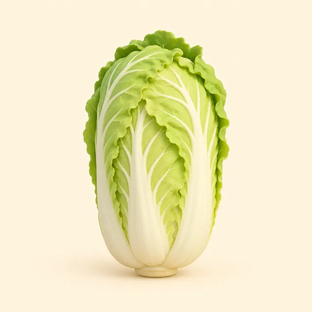 napa cabbage