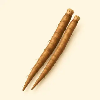 burdock root