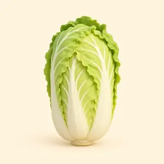 napa cabbage