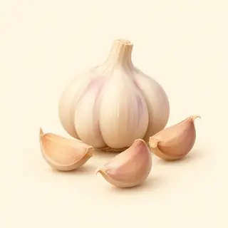 garlic