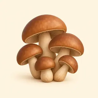 mushroom