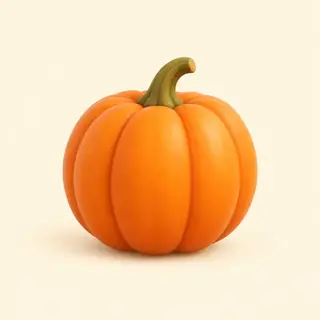 pumpkin / squash