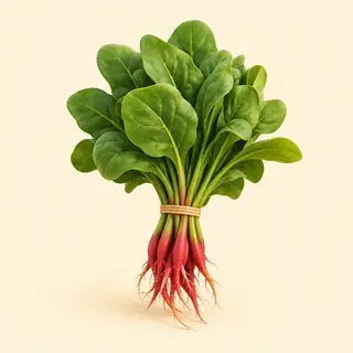 spinach